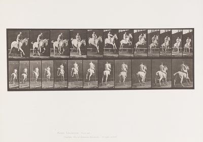 Levy 647. Esteen hyppy; Ilman satulaa; Ratsastaja tekijältä Eadweard Muybridge