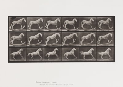 Levy 649.A, Hornet, Rocking; B, Eagle, Rolling Barrel jne. tekijältä Eadweard Muybridge