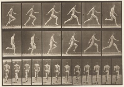 Levy 64. Käynti täydellä nopeudella tekijältä Eadweard Muybridge