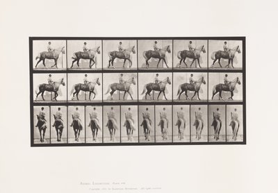 Levy 653. Kävely; Satula; Ontuva, Oikea etujalka;Hevosennahka tekijältä Eadweard Muybridge