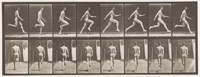 Levy 65. Käytössä täydellä nopeudella., 1872-1885 tekijältä Eadweard Muybridge