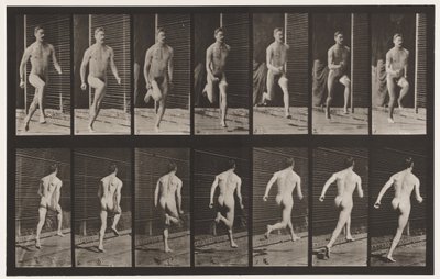 Levy 66. Juokse tekijältä Eadweard Muybridge