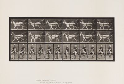 Levy 678. Vuohi; Ravi, Sulkyssa tekijältä Eadweard Muybridge