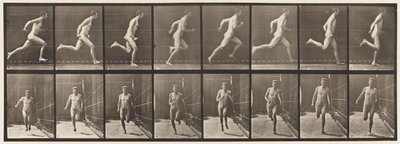 Levy 67. Juoksu, 1872-1885 tekijältä Eadweard Muybridge