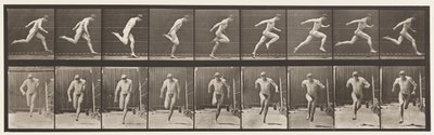 Levy 68. Juoksu, 1872-1885 tekijältä Eadweard Muybridge