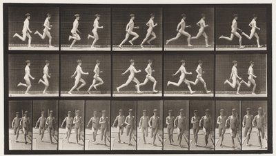 Levy 69. Kaksi mallia, 1872-1885 tekijältä Eadweard Muybridge