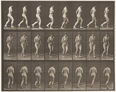 Levy 70. Running., 1872-1885 tekijältä Eadweard Muybridge