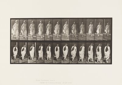 Levy 71. Juoksu, 1885 tekijältä Eadweard Muybridge