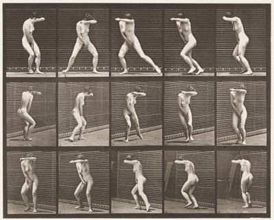 Levy 73. Yllätyksessä kääntyminen ja karkuun juokseminen, 1872-1885 tekijältä Eadweard Muybridge