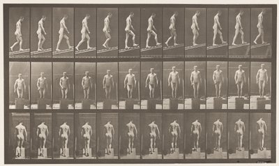 Levy 74. Nouseva kaltevuus, kulma 1 in 4 tekijältä Eadweard Muybridge