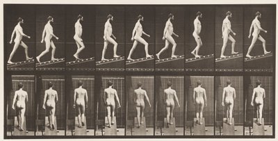 Levy 75. Nouseva kaltevuus, kulma 1 in 4, 1872-1885 tekijältä Eadweard Muybridge