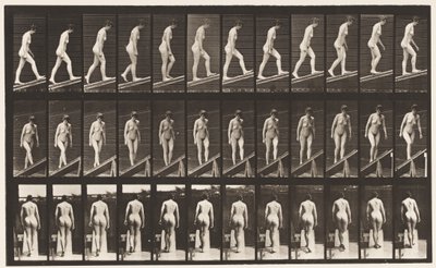 Levy 76. Nouseva kaltevuus tekijältä Eadweard Muybridge