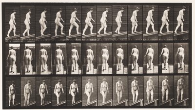 Levy 77. Nouseva kaltevuus tekijältä Eadweard Muybridge