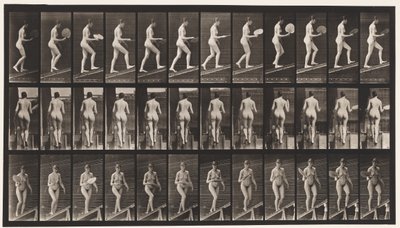 Levy 78. Nouseva kaltevuus, flirttaileva tuuletin, 1872-1885 tekijältä Eadweard Muybridge