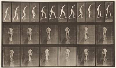 Levy 79. Nouseva kaltevuus tekijältä Eadweard Muybridge