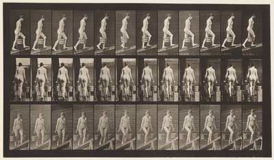 Levy 81. Nouseva kaltevuus. tekijältä Eadweard Muybridge