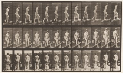 Levy 82. Nouseva kaltevuus, vesiämpäri kummassakin kädessä tekijältä Eadweard Muybridge