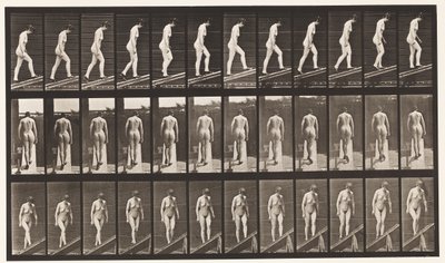 Levy 85. Nouseva kaltevuus tekijältä Eadweard Muybridge