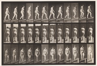 Levy 86. Nouseva kaltevuus tekijältä Eadweard Muybridge