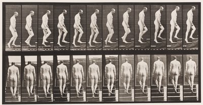 Levy 89. Nousevat portaat tekijältä Eadweard Muybridge