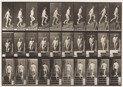 Levy 90. Nousevat portaat tekijältä Eadweard Muybridge