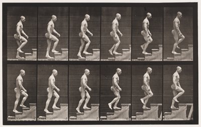 Levy 91. Nousevat portaat tekijältä Eadweard Muybridge