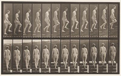 Levy 92. Nousevat portaat tekijältä Eadweard Muybridge