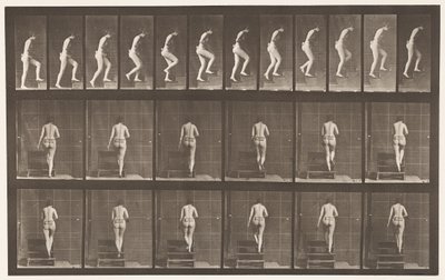 Levy 93. Nousevat portaat tekijältä Eadweard Muybridge