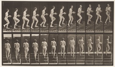 Levy 94. Nousevat portaat ympärilleen katsomassa; Altaan käsissä tekijältä Eadweard Muybridge