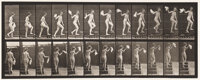 Levy 96. Nousevat portaat ympärilleen katsomassa; Heiluttava nenäliina tekijältä Eadweard Muybridge