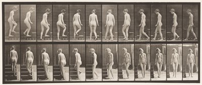 Levy 98. Kääntyvät ja nousevat portaat, 1872-1885 tekijältä Eadweard Muybridge