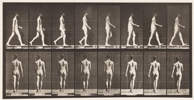 Levy 9. Kävely, 1872-1885 tekijältä Eadweard Muybridge