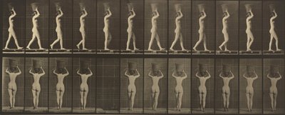 Kilpi numero 34. Kävelee ja kantaa 15 kilon koria päässään, kädet kohotettuna,1887 (kuva). tekijältä Eadweard Muybridge