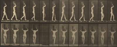 Kilven numero 34. Kävely ja kantaminen 15-lb. kori päässä, kädet koholla tekijältä Eadweard Muybridge