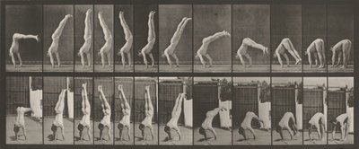 Kilpi numero 371. Acrobat, pystysuora "press up",1887 (kuva) tekijältä Eadweard Muybridge