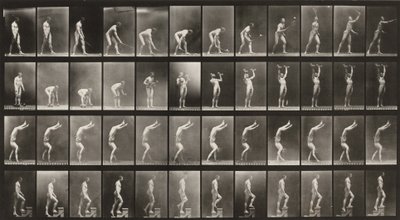 Taulu numero 488. A: Nurmikkotennis. B: Käsipainot. C: Käsillä kävely. D: Portaiden nouseminen tekijältä Eadweard Muybridge