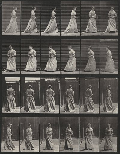 Taulu numero 48. Kävely ja kääntyminen kukkakimppu molemmissa käsissä tekijältä Eadweard Muybridge