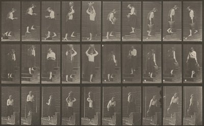 Kilpi numero 504. Nousevat ja laskevat portaat tekijältä Eadweard Muybridge