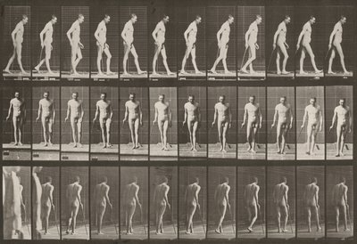 Taulu numero 559. Osittainen alaraajahalvaus, kävely kepin avulla tekijältä Eadweard Muybridge