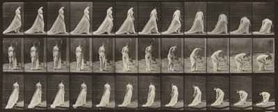 Taulu numero 56. Kävely, kääntyminen ja kumartuminen laahuksen nostamiseksi tekijältä Eadweard Muybridge