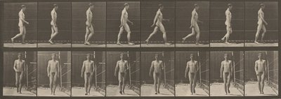 Kilpi numero 5. Kävely,1887 (kuva) tekijältä Eadweard Muybridge