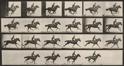 Taulu numero 625. "Bouquet" laukkaa tekijältä Eadweard Muybridge