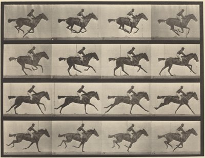 Taulu numero 626. Laukka, täysiverinen ruunikko tamma Annie G. tekijältä Eadweard Muybridge