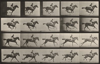 Taulu numero 627. "Annie G." laukkaamassa tekijältä Eadweard Muybridge