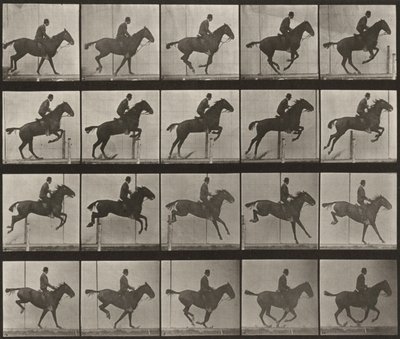 Taulu numero 639. Satuloitu "Daisy" hyppäämässä esteen yli tekijältä Eadweard Muybridge