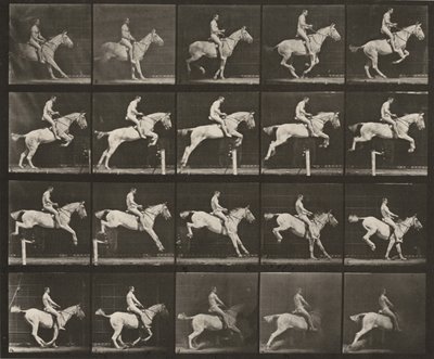 Kuvalaatta numero 642. Satuloitu "Pandora" hyppää esteen yli; ratsastaja on alaston tekijältä Eadweard Muybridge
