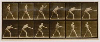 Pugilist Striking a Blow, kirjasta Animal Locomotion (Eläinten liikkuminen). tekijältä Eadweard Muybridge