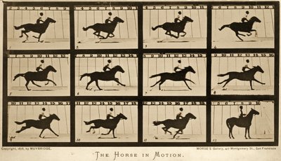 Hevonen liikkeessä, Animal Locomotion -sarja, n. 1878 tekijältä Eadweard Muybridge