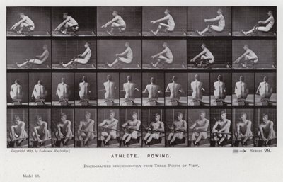Ihmishahmo liikkeessä: urheilija, soutu (m/v kuva) tekijältä Eadweard Muybridge