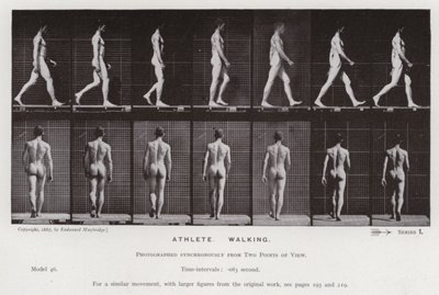 Ihmishahmo liikkeessä: urheilija, kävelevä (m/w kuva) tekijältä Eadweard Muybridge